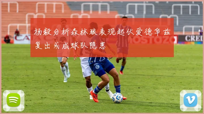杨毅分析森林狼表现起伏爱德华兹复出或成球队隐患
