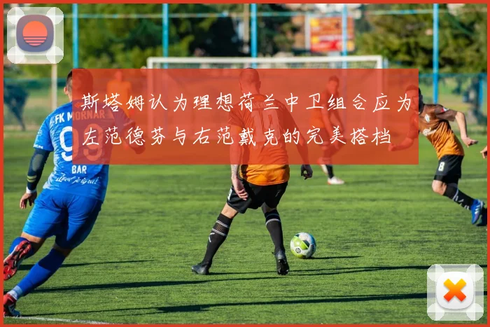 斯塔姆认为理想荷兰中卫组合应为左范德芬与右范戴克的完美搭档
